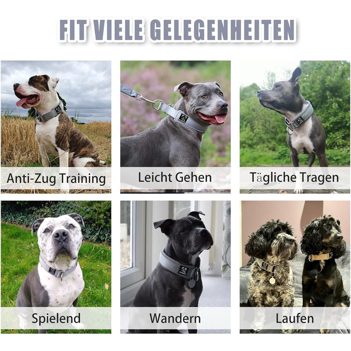 Нашийник для собак з неопрену (4см) з відбиваючими елементами, міцний нейлон, стопор, комфортний, для дресирування, проти ривка, для малих, середніх та великих собак, сірий, L (45-56см)