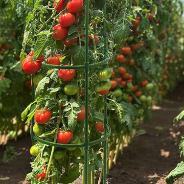 G-LEAF Комплект з 3 опор для рослин 140 см – решітка-обеліск для томатів, троянд та витких рослин, садова підпора, каркас для кущів