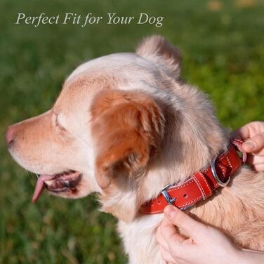 Нашийник для собак з м'якої шкіри, міцний та довговічний. Підходить для собак маленьких, середніх та великих порід. Розмір: 28-36 см (Червоний)
