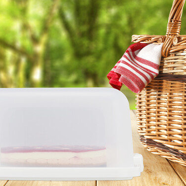 Rectangular Cake Box