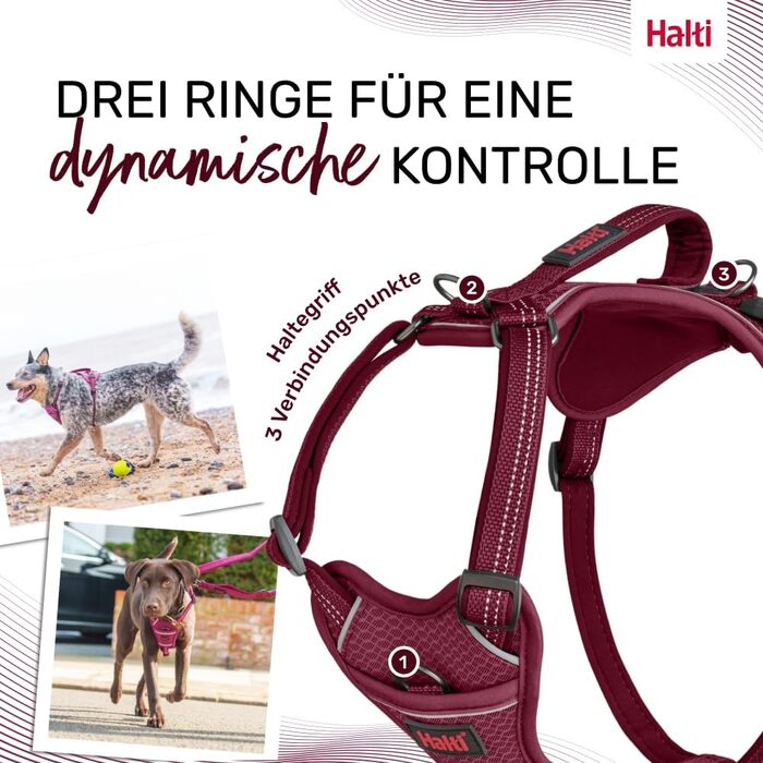 HATI Anatomy Dog Harness with Handle – Freedom of Movement for Your Dog. 3 Connection Points, Neoprene Padding, Adjustable and Reflective (Size Construction Green) (Magenta, M)