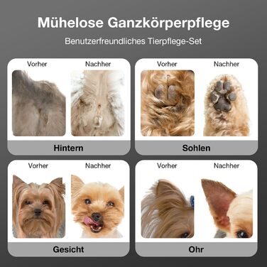 Набір для стрижки собак 3-в-1: машинка, триммер для лап, тиха робота, для густого хутра, чорний колір