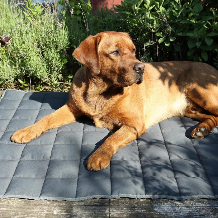 Килимок для собак Your Gear 120x80 см з органічної бавовни Oeko-Tex | Ортопедичний лежак для великих собак, водовідштовхуючий, миючий та стійкий до подряпин. Підходить для дому та вулиці