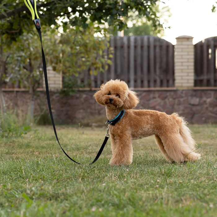 Нашийник для собак Ferplast ERGOFLUO C15/42 з підкладкою та мікрорегулюванням, зелений