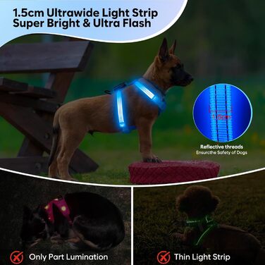 LED нашийник для собак, світлодіодний нашийник для маленьких собак, USB-C, світлодіодна повідка для собак, безпечний нашийник для собак, світлодіодна жилетка для собак, світлодіодна повідка для цуценят, XS, S, світловідбиваючий нашийник для собак, для ніч