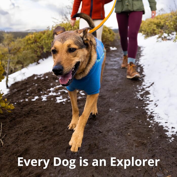Ruffwear Roamer Bungee Dog Leash for Running, Cycling, or Hiking, Can Be Used with or Without Hands, Yellow Snow, 7.3-11ft