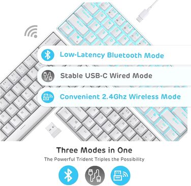 Механічна клавіатура RK ROYAL KLUDGE RK61-US 60% з підсвічуванням, Bluetooth/2.4Ghz/USB, Hot-Swappable, QWERTY, для Windows/Mac