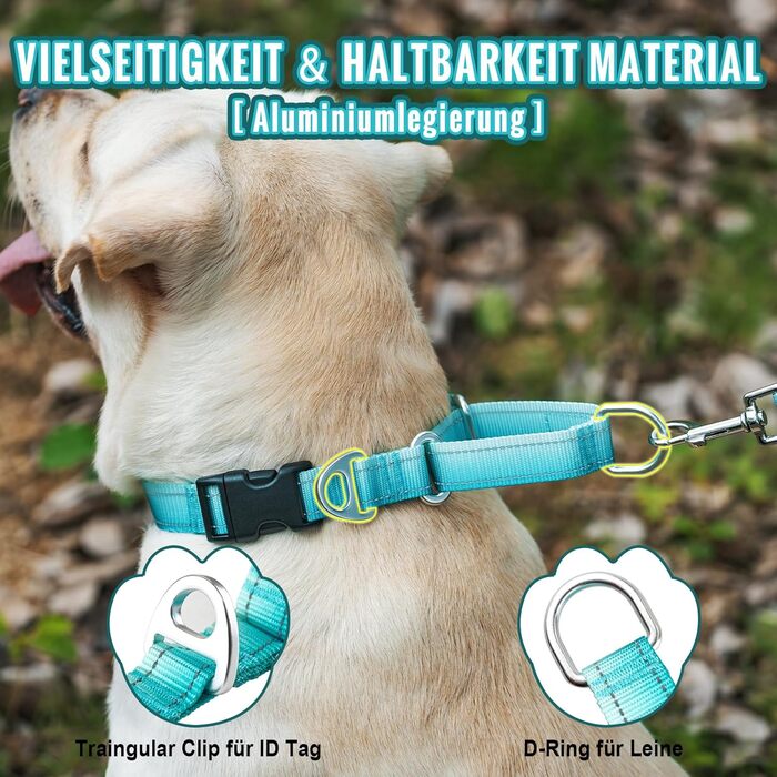 Відбиваюче повідець для собак Martin Gay, з зупинкою, для великих, середніх та малих собак, повідок-стопер для Whippets, Greyhounds, Saluki (Турквезевий, M)