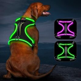 Світловідбиваючий нашийник для собак з LED, перезаряджається, шкіряний, зелений, для собак малого, середнього та великого розміру