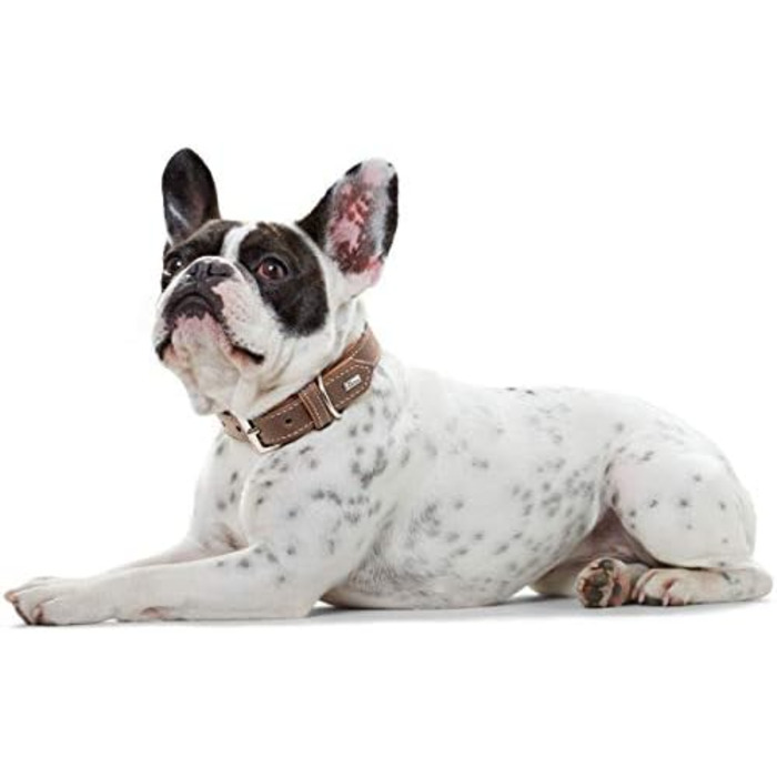 Нашийник для собак HUNTER PORTO, шкіряний, чорний/cognac, 30 см, ручної роботи