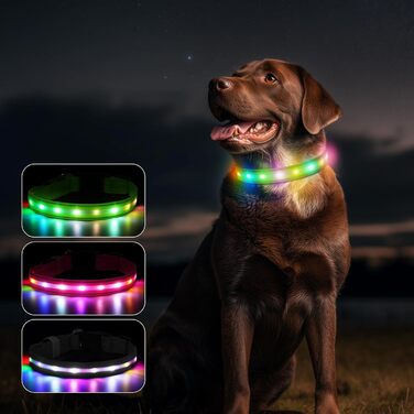 Світлодіодна нашийник для собак Feycig з USB-зарядкою - водонепроникний, регульований, 3 режими, для малих, середніх та великих собак (світло-зелений, M(38-50см))