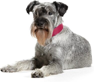 Нашийник для собак HUNTER BASIC, рожевий (полуниця), 55 см, шкіра, міцний, стильний