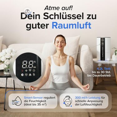 Ультразвуковий зволожувач повітря 4.2л з аромадифузором та нічним світлом, тихий для спальні та дитячої кімнати, для немовлят та рослин, з пультом керування та 360° форсункою