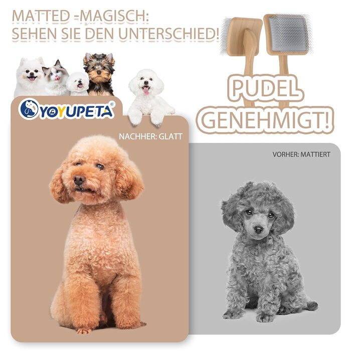 Набір щіток та гребінців для собак та котів з довгим хутром – Slicker Bürste & Kamm Set – проти підшерстка та ковтунів – з нержавіючої сталі 25 мм – дерев'яна ручка & шкіряний етикет – ідеально для Голден Ретріверів та Мейн Кунів