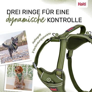 HATI Anatomy Dog Harness with Handle – Freedom of Movement for Your Dog. 3 Connection Points, Neoprene Padding, Adjustable and Reflective (Size Construction Green) (Green, L)