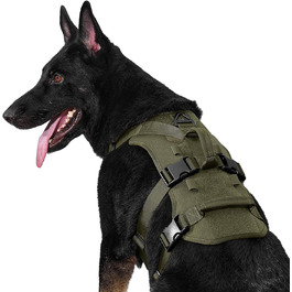 колір: зелений