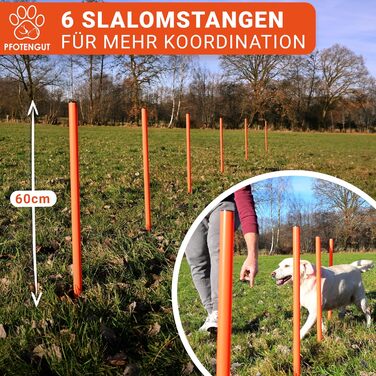 Набір для аджиліті для собак [11-TLG.] - універсальний набір з перешкодами, тунелем, слаломом та іншим для тренування та аджиліті собак - з аксесуарами та сумкою для транспортування, великий розмір