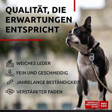 Нашийник для собак WAUDOG: шкіряний нашийник для великих, середніх та маленьких собак, кошенят. Ширина 15-20 мм, довжина 27-36/30-39 см. З цифровою міткою.