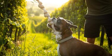 Petaureus Premium Dog Toy Large Dogs Set: Durable Puppy Toy Made of Cotton & Hemp - Ideal for Medium to Large Dogs & Active Puppies