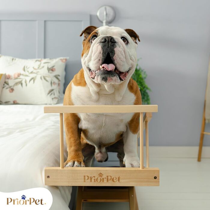Сходинки для собак PRIORPET з берези з поручнями - регульована висота до 94.5 см - складаються - антиковзаюча поверхня - для маленьких собак до 23 кг - натуральне дерево