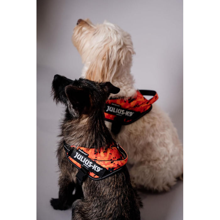 Шлейка Julius-K9 Power&More для собак, розмір S (Pixeljuice)