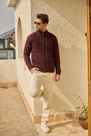 Чоловіча флісова куртка Les Umes з коміром-стійкою, Regular Fit (Бордовий, 3XL)