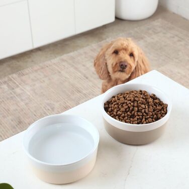 Миска для собак Waggo Dipper Ceramic - для малих та великих порід, керамічна, важка, довговічна, миється в посудомийній машині, сучасний дизайн (Терракота, Середня)