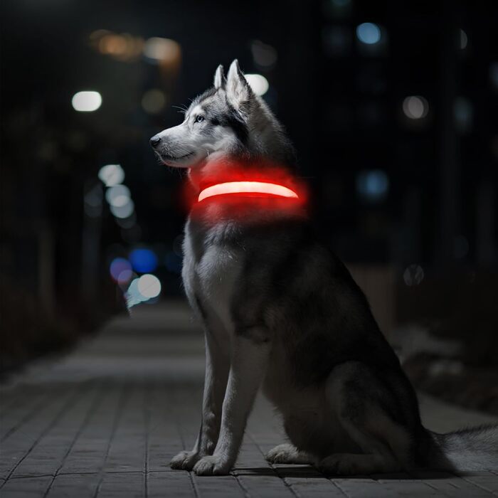 Світловідбиваючий нашийник для собак MABRILL з LED-підсвічуванням, перезаряджається, водонепроникний, для малих, середніх та великих собак, 3 режими світла, червоний (L)