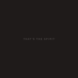 That's the Spirit (10-річчя) – Лімітована платівка Bring Me the Horizon