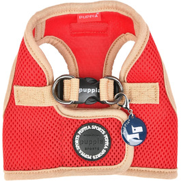 колір: гниль