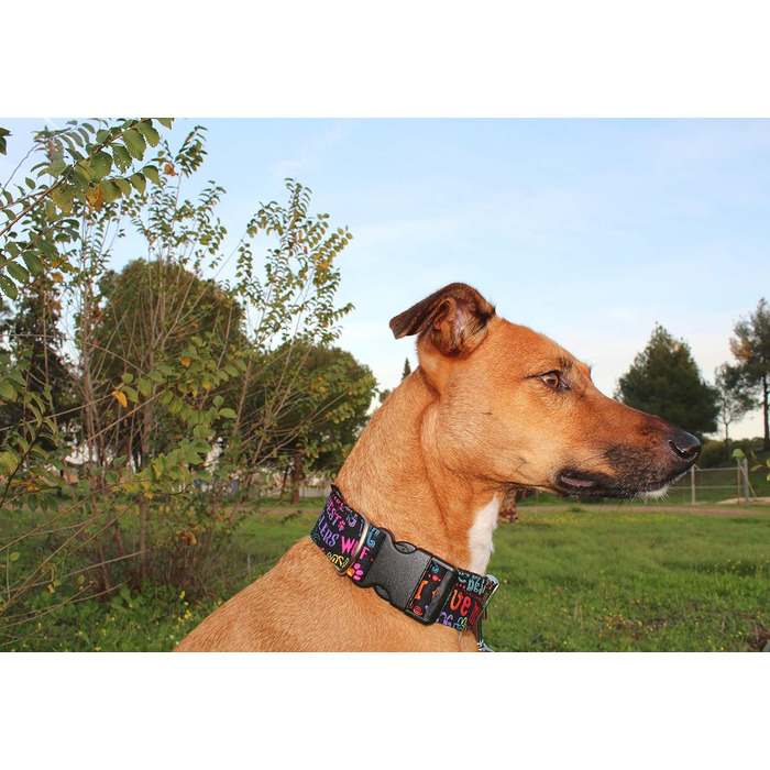 Нашийник для собак candyPet® Click - ширина 4 см, регульований (30-55 см), найкращий друг