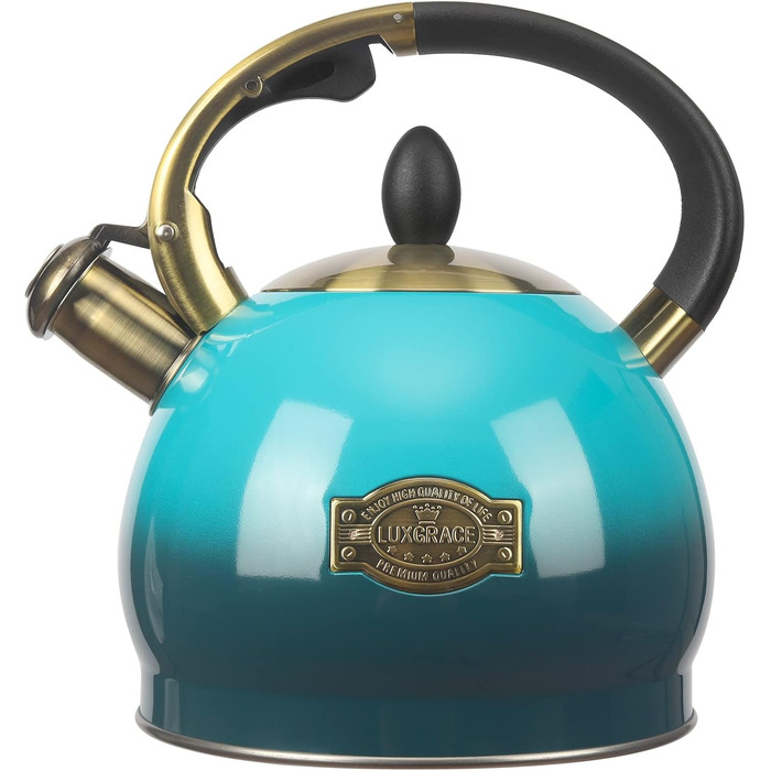 Чайник для заварювання чаю, класичний чайник з нержавіючої сталі, 3 л, блакитний