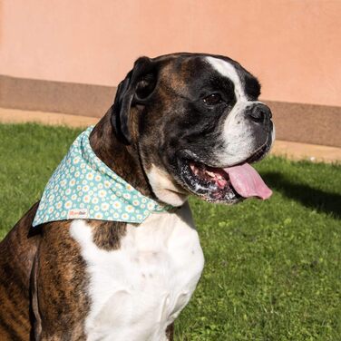 Pettsie Dog Collar with Bandana Cloth and Friendship Bracelet, Adjustable Sizes S, M, and L, Strong and Durable, Great Gift for Dog Lovers in Attractive Packaging, M, Pink (L (17.7 - 26 inches), Green)