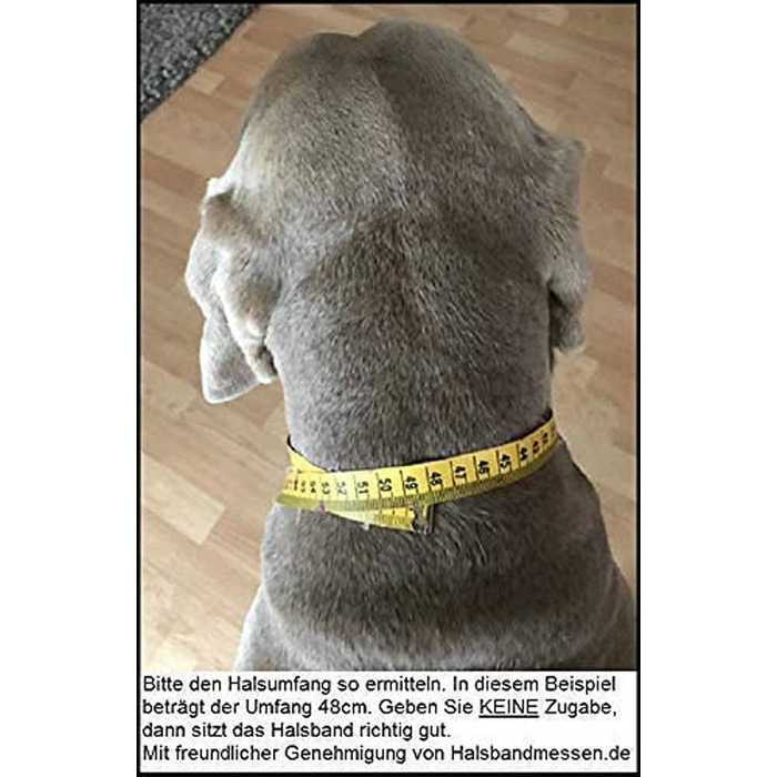 Нашийник для собак Pfoetchen-Welt EM-Keramik з паракорду. Персоналізація з ім'ям. Більше 100 000 варіантів.