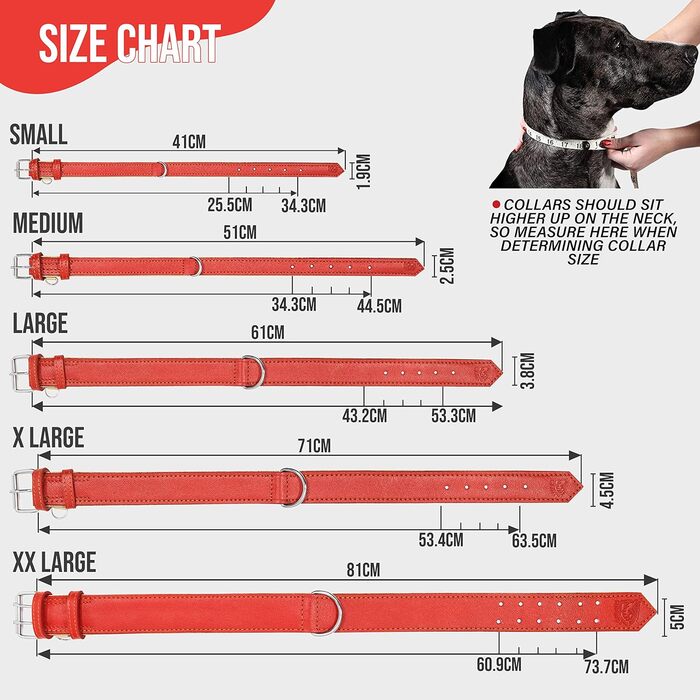 Нашийник для собак Riparo з натуральної шкіри, регульований, посилений, червоний (L, ширина 3,8 см, обхват 43,2-53,3 см)