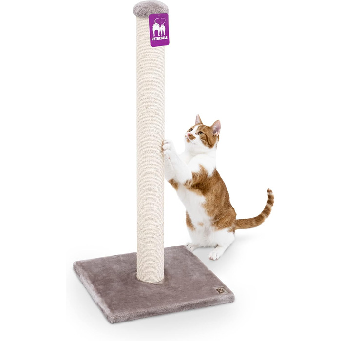 Petrebels Premium Quality Scratching Post Maine, 90 cm High, with Extra Stable Base Plate and Natural Sisal Post, 40 x 40 x 90 cm, Color / Beige (Cappuccino)