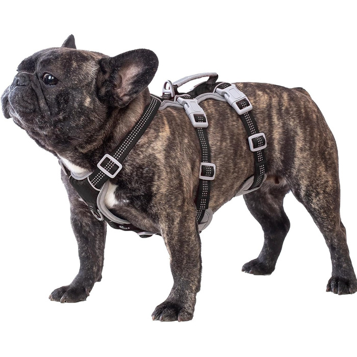 Нашийник для собак Huntboo, великі породи, анти-злам, світловідбиваючий, водонепроникний, регульований, для прогулянок та бігу (Чорний, L, упаковка з 1)