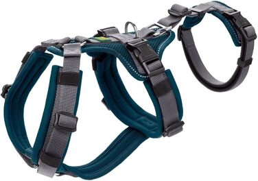 Нашийник для собак Maldon, колір petrol/сірий, розмір L