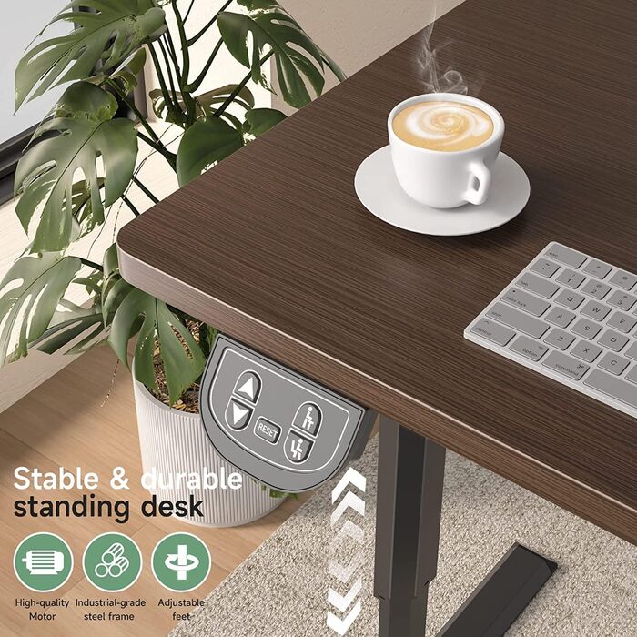 Електричний стіл Dripex з регулюванням висоти, 160x75x(71-117) см, для home office, горіх+чорний
