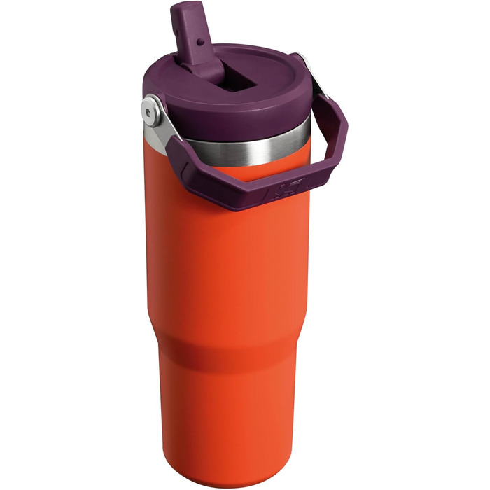 Stanley Flip Straw Tumbler 1.0 Drinking Bottle with Straw 0.89L - Thermos Bottle Keeps 12+ Hours Cold - Dishwasher Safe - Sports Bottle - Water Bottle BPA Free - (Tigerlily Plum)