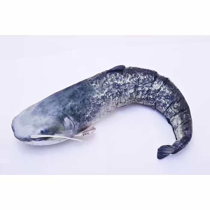 Decorative pillow in the shape of a real fish, catfish