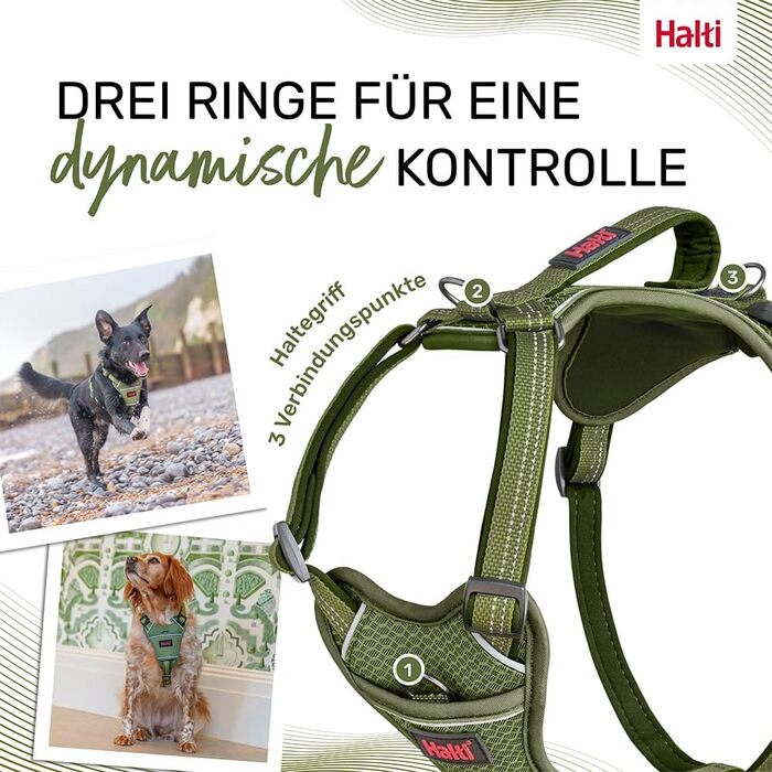 HATI Anatomy Dog Harness with Handle – Freedom of Movement for Your Dog. 3 Connection Points, Neoprene Padding, Adjustable and Reflective (Size Construction Green) (Green, L)