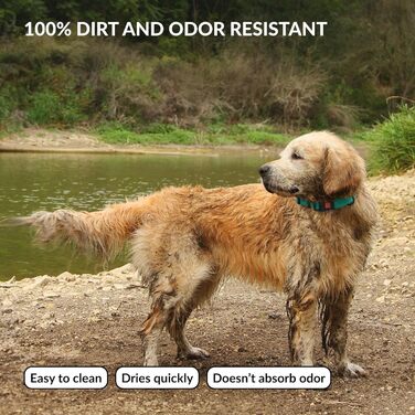 Водонепроникний нашийник для собак CollarDirect, регульований, силікон & пластик, стійкий до запахів, легко миється, безпечна застібка, для малих, середніх та великих собак (М'ятний, XL (45-66 см))