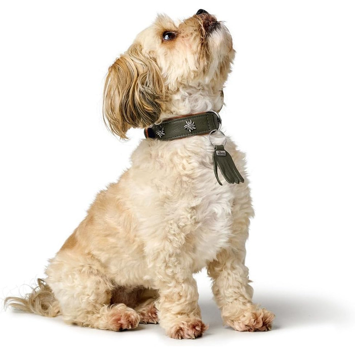 Нашийник для собак HUNTER München, зелено-коричневий, шкіряний, з вишуканими деталями, м'який та міцний, не травмує шерсть, екологічний, Made in Germany, розмір 50