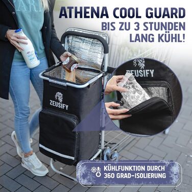 Складаний візок для покупок Hackenporsche з великим холодильним відсіком, 50 л, з колесами, водонепроникний, чорний