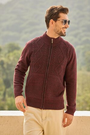 Чоловіча флісова куртка Les Umes з коміром-стійкою, Regular Fit (Бордовий, 3XL)