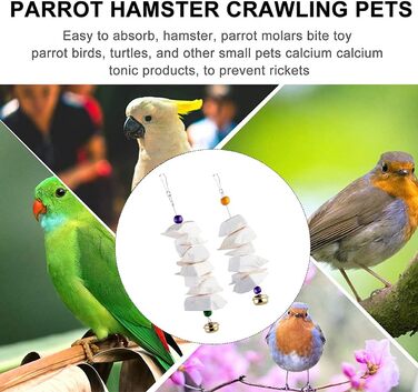 Parrot bones, fragile molars, chewing toys, grinding birds, beak and calcium, bone supplements, parrots, cockatiels