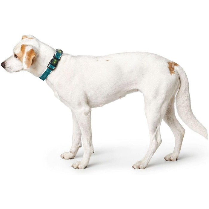 Нашийник для собак HUNTER HILO VARIO BASIC, туркіс, розмір M-L, дихаючий, світловідбиваючий