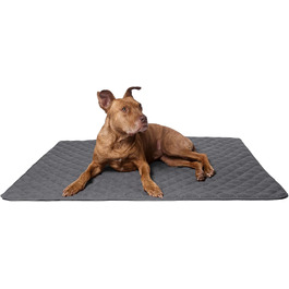 колір: антаракт / графіт