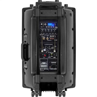 Портативна акустика Ibiza PORT12VHF-BT 12